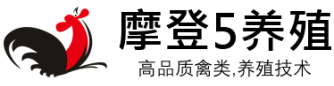 摩登5家禽养殖有限公司 