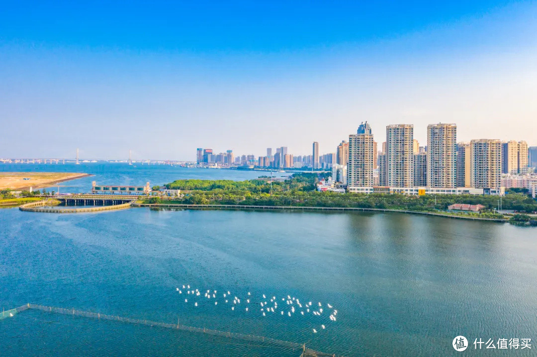 摊开湛江美食地图,发现广东吃货城市里必须有它的姓名!