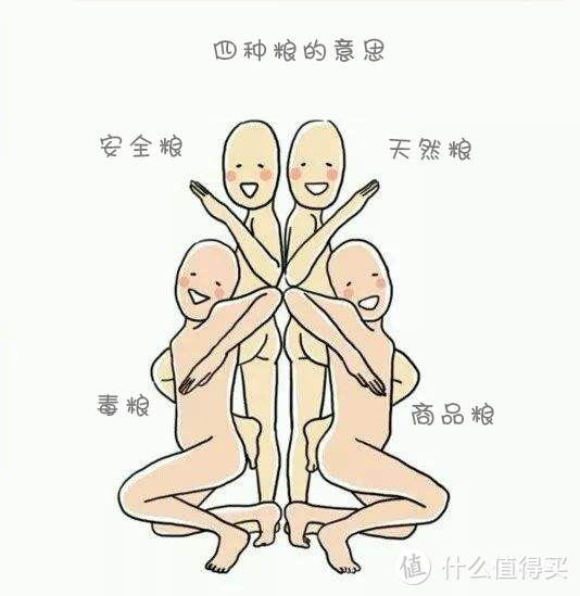 双十一猫粮什么牌子好又便宜